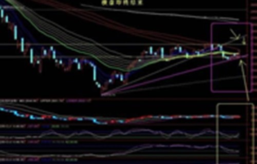 混合型基金分析力帆股份逆势中发奋图强