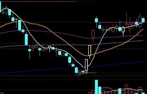 盈趣科技股票读懂大蒜价格低迷源于供大于求