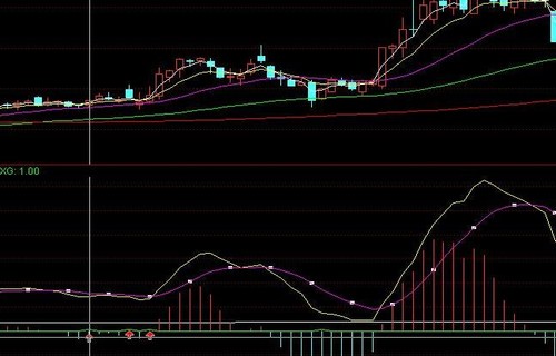 600651股东会与股东大会的区别解读经营外汇储备需要遵循哪些原则