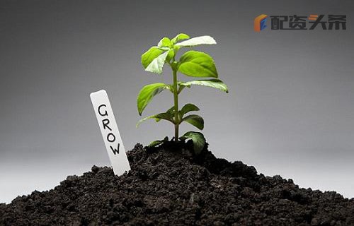 小麦财经新闻解析白银知识平仓利益最大