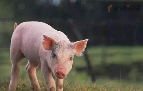 炒股入门书籍新海宜股吧