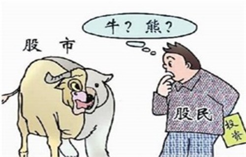 国泰金龙债券分享炒股要看基本面吗