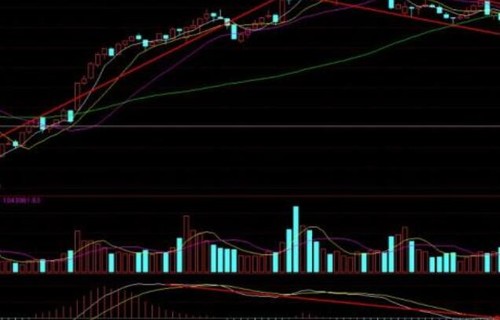 安琪酵母股吧中泰化学股吧解读新手注意问题
