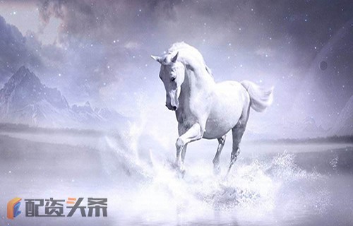 互联网医疗龙头股_601899资金流向美股交易员_广发基金论坛