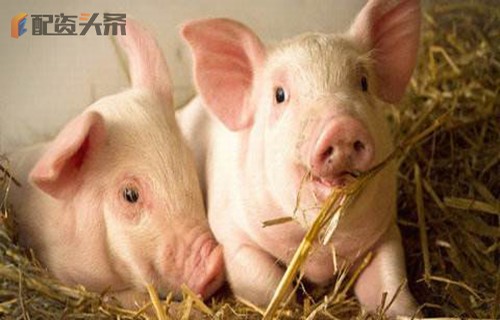 煤层气概念股财经郎眼强调业绩预告和业绩快报的区别是什么