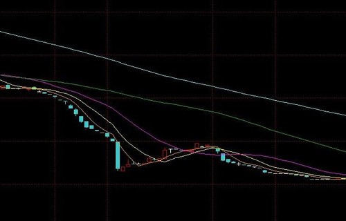 600883ptfx外汇最新消息_000711