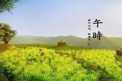 梦见两棵树松树是什么意思