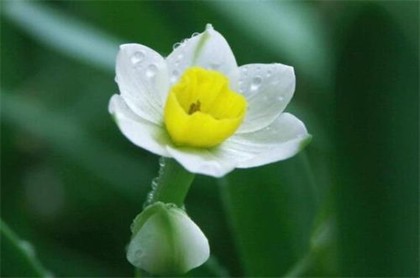 脸上长根毛怎么回事啥风水