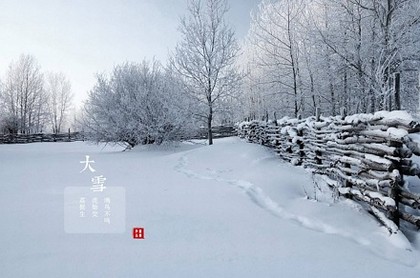 塔罗牌占卜如何分辨正反