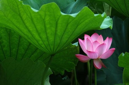 风水师怪谈有声免费下载