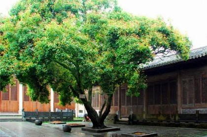 生辰八字查自己婚姻
