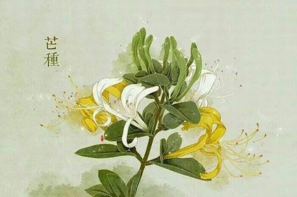 关帝98签解签详细解签