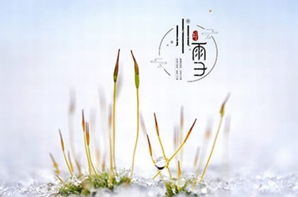 女人巨富面相
