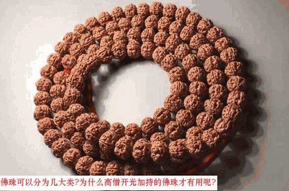 院子种榆叶梅风水好吗