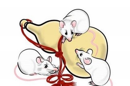 五行中缺火带火的图片