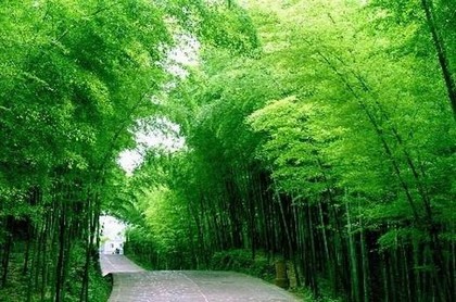 面馆取名名字大全集