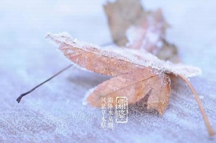 梦见和别人聊天