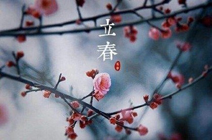 什么手什么脚