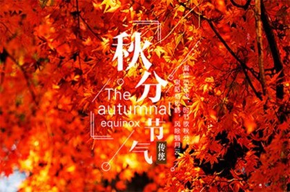 八字以内唯美哲理短句