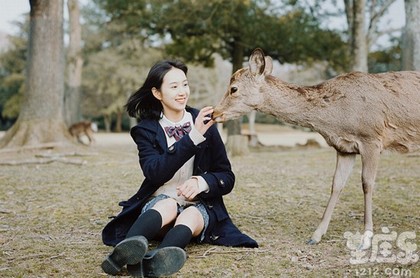 梦见好多花生秧带花生
