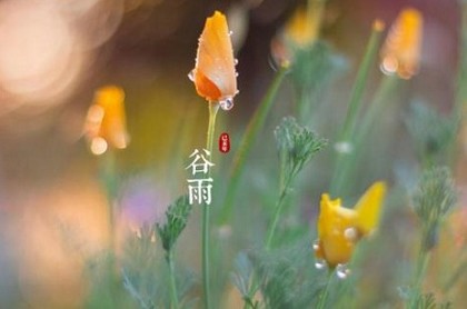 梦见大河水特别清澈