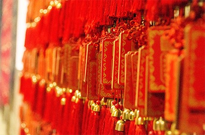 梦见杀鸡没杀死反被鸡咬
