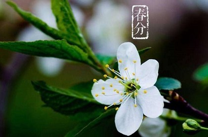梦见很多鱼被冻在冰里