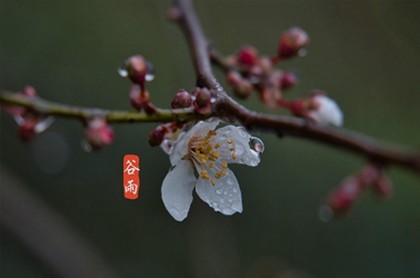 浩和皓哪个字起名大气