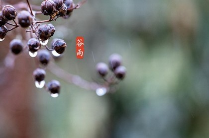 盘古大王灵签解签十二签