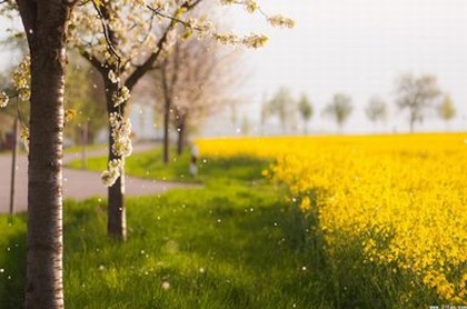 泽的五行属性是什么字