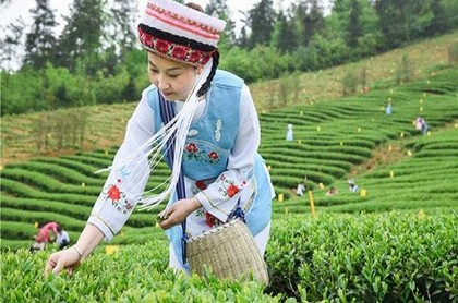 梦到死人看我
