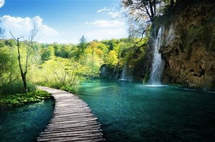 梦见看到收割完庄稼地