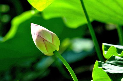 风水师不能做的风水
