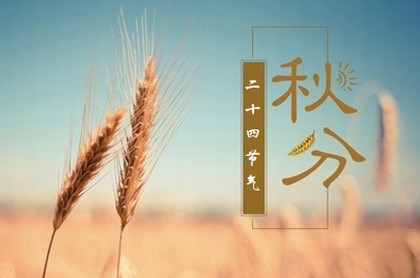 梦见鼻子流血什么征兆