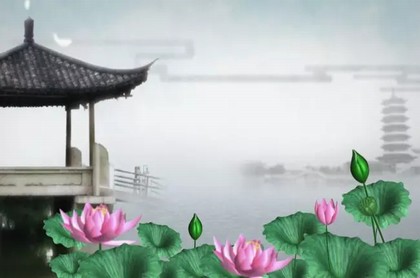 按风水屋后栽什么树好
