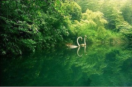 中国风水墨画图片