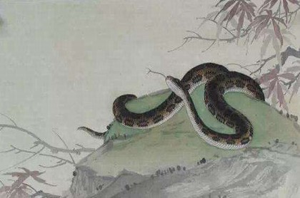 塔罗占卜他想对我说什么话