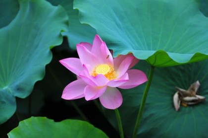 月日相冲如何化解