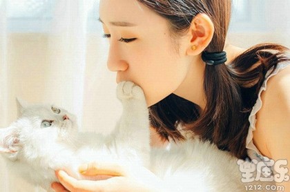 占星猫软件怎么用