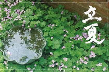 怎么看八字四柱是不是纯阳