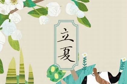 ff14占星发卡宏nga
