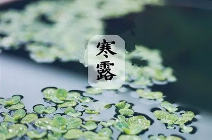 梦见自己命运不好