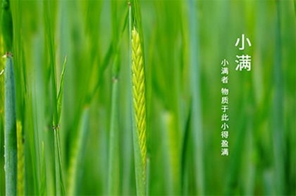 属龙10月出生运势如何