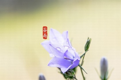 八字中没有偏财正财