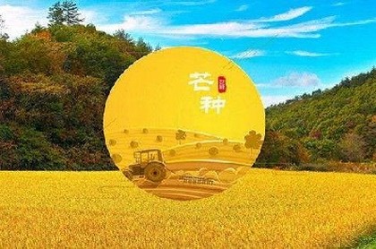 大富大贵的面相女人