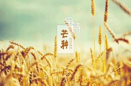 瞎子算命准吗能信吗