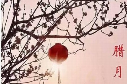 李双林正五行择日视频