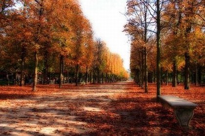 梦见捞鱼是什么意思