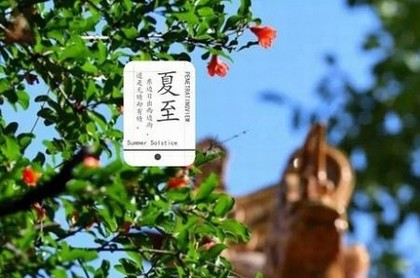 帕丽娜塔罗
