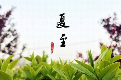 梦见我妈妈怀孕了什么意思